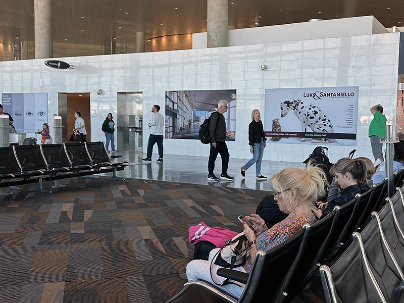 TPA_ Walkway of Terminal C Media