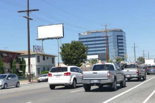 Sepulveda WS 125ft S/O Palms F/S - 2 Media