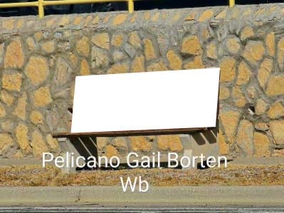 Pellicano Gail Borden Media